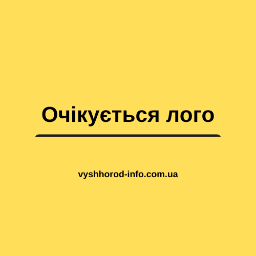 Приватний дитячий садок "Пізнайки-Розвивайки" у Вишгороді