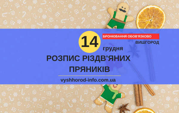 14 грудня 2024 року Майстер-клас з розпису різдв'яних пряників  у Вишгороді