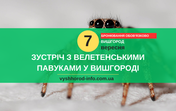 7 вересня 2024 року Контактний зоопарк "Зустріч з велетенськими павуками" у Вишгороді