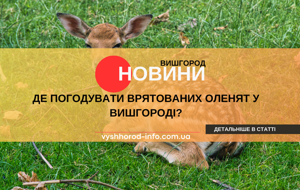 01092025_novina_vyshgorod