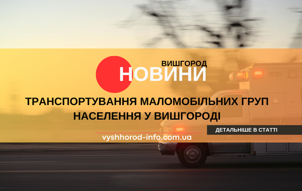 16 травня 2026 року стало відомо про послугу транспортування маломобільних осіб у Вишгородській громаді