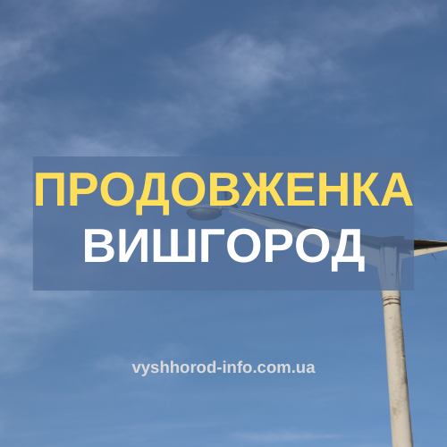 Група продовженого дня "Розумахи" у Вишгороді